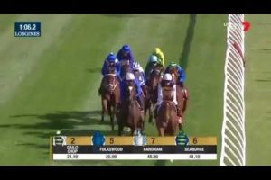 メルボルンカップ 17 動画 結果 リキンドリングが優勝