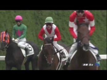 スーパーフェザーが外から差し切り勝ち/動画・結果【2歳新馬戦】