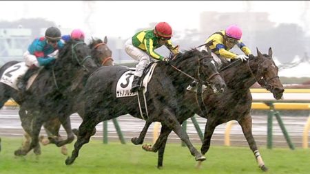 サトノソルタスが断然人気に応え勝利を挙げる/動画・結果【2歳新馬戦】