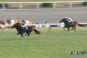 京都2歳ステークス 2017 グレイル