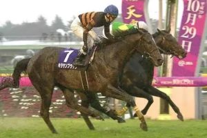 天皇賞秋 2017 キタサンブラック2