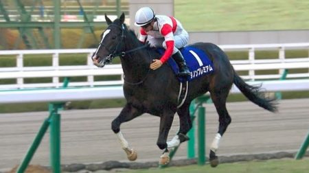 朝日杯フューチュリティステークス 2017 ダノンプレミアム