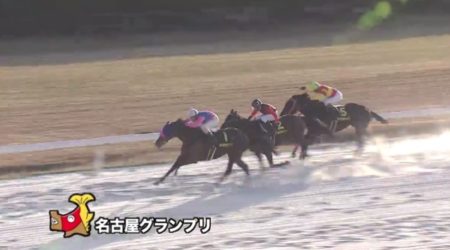 名古屋グランプリ 2017 メイショウスミトモ