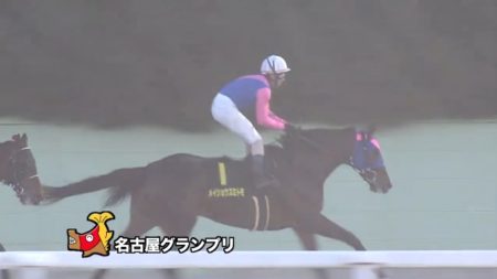 名古屋グランプリ 2017 メイショウスミトモ