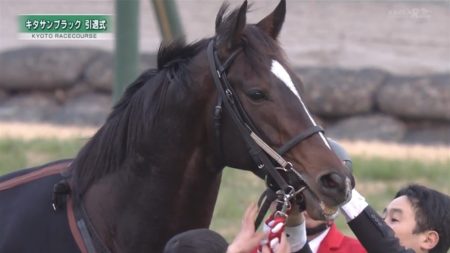 キタサンブラック 引退式