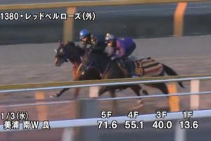 フェアリーステークス 2018 追い切り