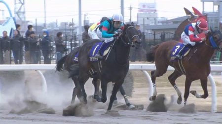 エンプレス杯 2018 アンジュデジール