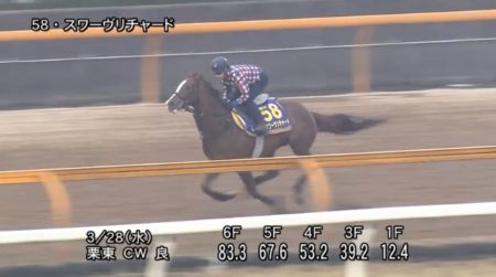 大阪杯 2018 追い切り