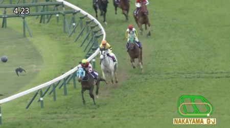 中山グランドジャンプ 2018 オジュウチョウサン