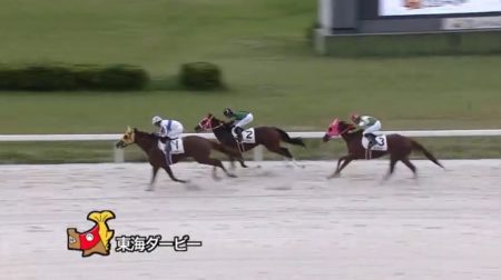 東海ダービー18 動画 結果 ビップレイジングが優勝 サムライドライブは2着