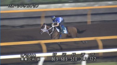 小倉2歳ステークス 2018 追い切り