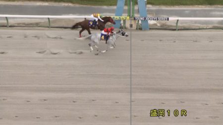クラスターカップ 2018 オウケンビリーヴ