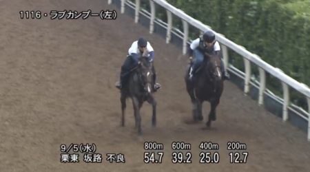 セントウルステークス 2018 追い切り