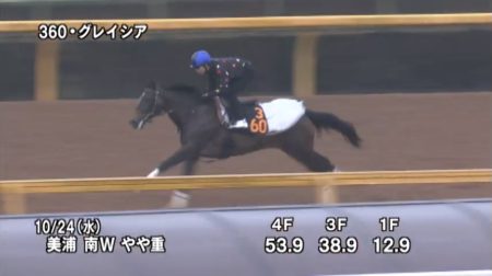 アルテミスステークス 2018 追い切り