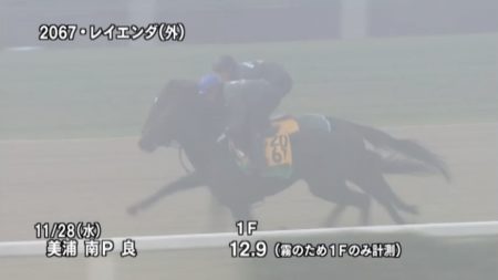 チャレンジカップ 2018 追い切り