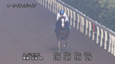 チャンピオンズカップ 2018 追い切り