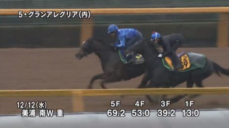 朝日杯フューチュリティステークス 2018 追い切り