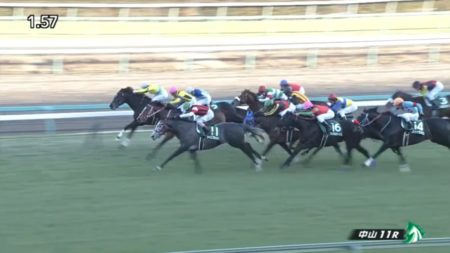中山金杯2019結果 動画