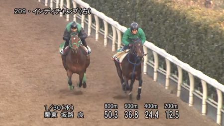 東京新聞杯2019 追い切り