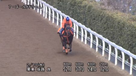 フェブラリーステークス2019 追い切り