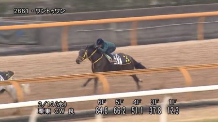 京都牝馬ステークス2019 追い切り