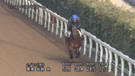 京都牝馬ステークス2019 追い切り