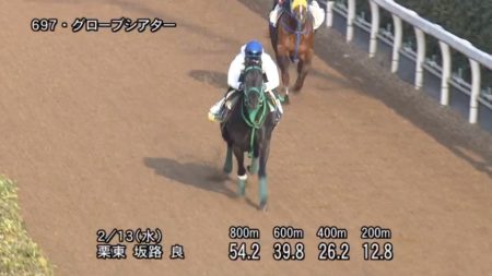 ダイヤモンドステークス2019 追い切り