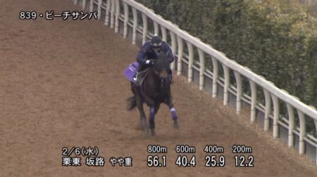 クイーンカップ2019 追い切り