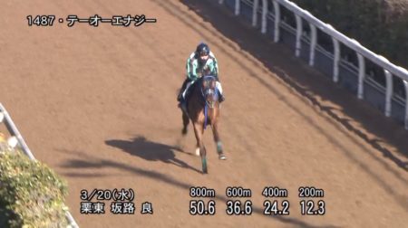 マーチステークス2019 追い切り