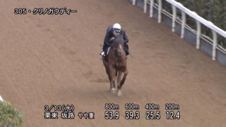 スプリングステークス2019 追い切り