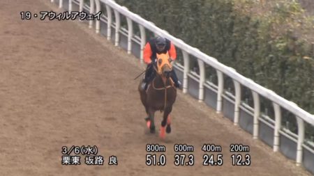 フィリーズレビュー2019 追い切り