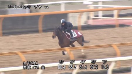 中山牝馬ステークス2019 追い切り