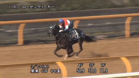 ファルコンステークス2019 追い切り