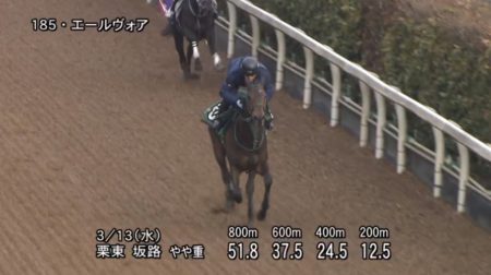 フラワーカップ2019 追い切り