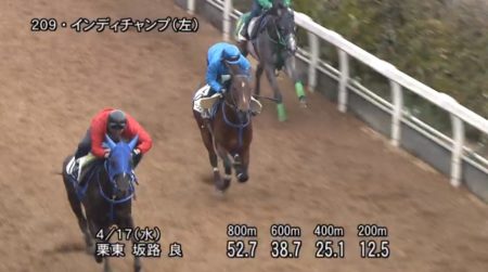 マイラーズカップ2019 追い切り