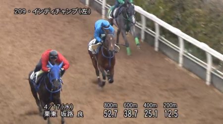 マイラーズカップ2019 追い切り