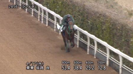 福島牝馬ステークス2019 追い切り