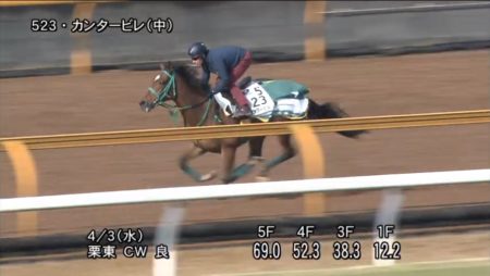 阪神牝馬ステークス2019 追い切り