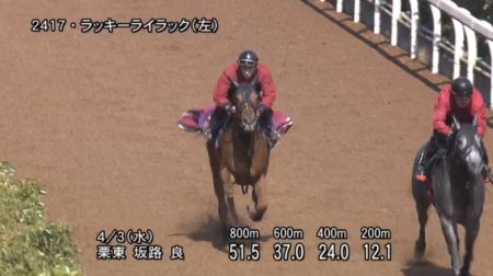 阪神牝馬ステークス2019 追い切り