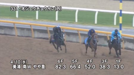 中山グランドジャンプ2019 追い切り