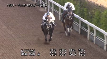 平安ステークス2019 追い切り