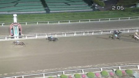 結果 動画 競馬 大井