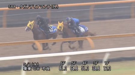 京都新聞杯2019 追い切り