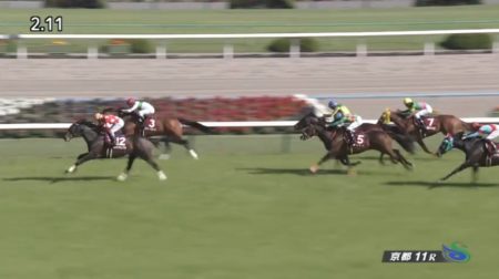 京都新聞杯2019 レッドジェニアル