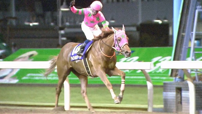 関東オークス2019 ラインカリーナ