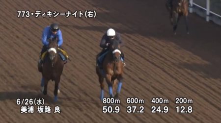 ラジオNIKKEI賞2019 追い切り
