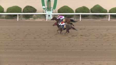 サマーチャンピオン2019 グランドボヌール