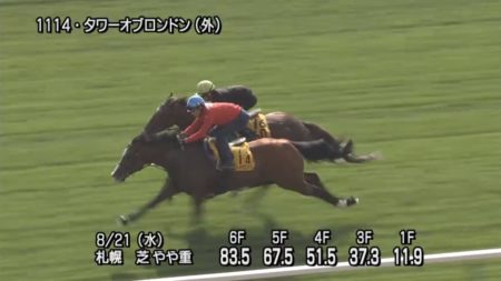 キーンランドカップ2019 追い切り