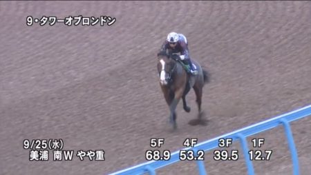 スプリンターズステークス2019 追い切り