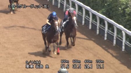 京成杯オータムハンデ2019 追い切り